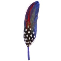 Hatfjer by Stetson - 9,00 kr