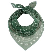 Paisley Silkesjal by Fraas - 349,00 kr